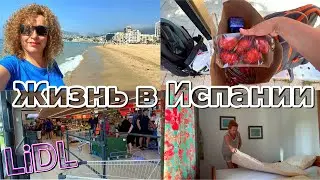 ЖИВЁМ НА ДАЧЕ В ИСПАНИИ/ LiDL / ПОСТАВИЛИ МОСКИТНУЮ ДВЕРЬ