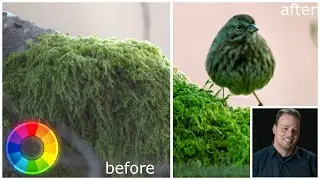 Editing Your Photos Part 4 | Rawtherapee 5.8 | Gimp 2.10