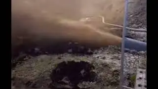 you after eating taco bell P2