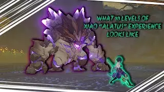 WHAT 10 LEVELS OF XIAO 