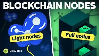 How Do BLOCKCHAIN Nodes Work? Different Types Explained