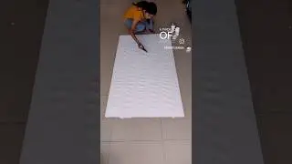 Biggest Warli painting