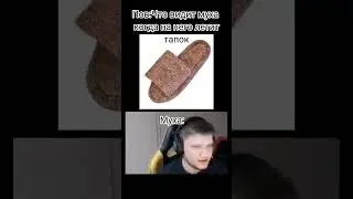У мух пинг 999 #youtube #приколы #юмор #meme #csgo #simple #games #игры