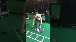 Reverse Grip Bicep Curl