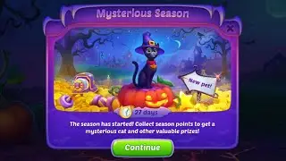 Homescapes Mysterious Season | Black Cat Pet
