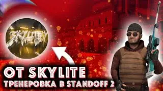 Моя тренеровка в Standoff 2. Тренеровка от Skylite