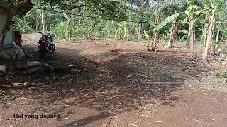 PENJAGA LILIN - LILIN KECIL DITEPI BENDUNGAN CIRATA #gurusd #bandungbarat #berangkatsekolah #cirata
