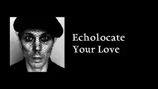 VV - Echolocate Your Love (NEON NOIR TOUR 15 Feb 2023, Krakow)