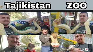 Zoo Tajikistan 🇹🇯 2020: ЗООПАРК ТАДЖИКИСТАН,  ДУШАНБЕ,   Tajikistan 🇹🇯 Dushanbe Kulob, САНБОЙ.ТВ