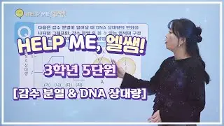 헬프미 엘쌤 : 감수 분열 & DNA 상대량