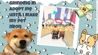 Grinding until I make my pet neon! {relaxing music}