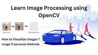 P2 Visualize and Preprocess Images | OpenCV Tutorial | Complete Image Processing Tutorial in Hindi