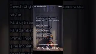 Untitled video