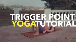 Free Tutorial Trigger point therapy - Massage class using a tennis ball
