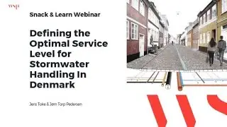 Defining the Optimal Service Level for Stormwater Handling in Denmark