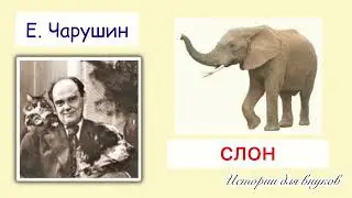 Евгений Чарушин. СЛОН. Малышам 2+