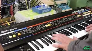 Champion Leccy Swan Hunter [Demo w/ Synthesizers #13]