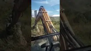 Экскаватор разворошил гнездо шершней
