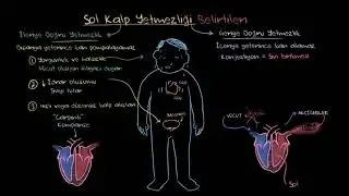 Sol Kalp Yetmezliği Belirtileri (Fen Bilimleri) (Sağlık ve Tıp)