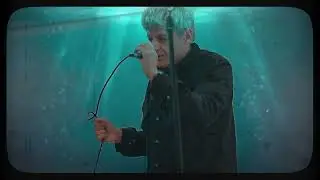 TE WHEKE - WILDCARDS(AOTEAROA)