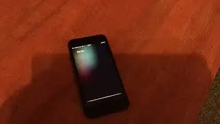 Control home with Pilot app and Domoticz on a Raspberry Pi via IOS Sire Shortcuts.