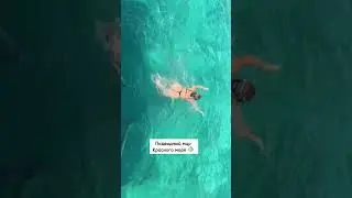 👆 Невероятной красоты подводный мир Красного моря 🐠