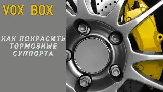 Покраска тормозных суппортов автомобиля.Замена компонентов тормозной системы.