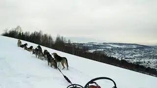 Спонтанное  видео. Путь домой через гору Сыркаши. Горная Шория. хаски.