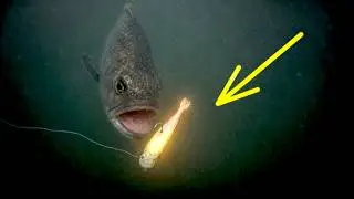 The Best Fishing Lure I've Ever Used!