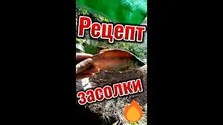 Рецепт засолки