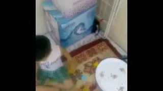 Yigit baba süprizi var