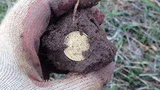 Неожиданный подарок на закрытие сезона