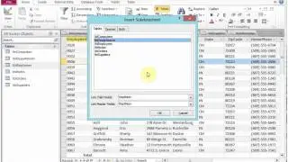 A1_3.2_Using Subdatasheets