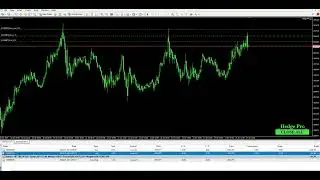 Forward Test EA. Hedging Pro