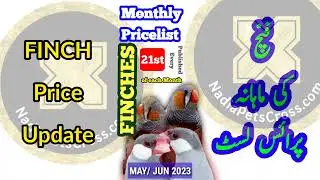 FINCHES Pricelist JUN 2023 | Monthly Prices of Finches Breeds | Bird Market Update ‎@NadiaPetsCross 