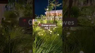 Wisata PIK jakarta #music #gorillaz #orangegroves #pik2viral #homesweethome #holiday #wisatajakarta