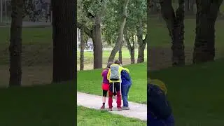 Прогулка на мост Мозеса! Волшебные тюльпаны и домики на деревьях.