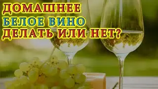 Белое вино в домашних условиях | Нюансы изготовления | Ответы на вопросы подписчиков
