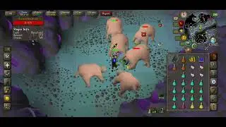 Venator Bow V E R Y AFK 😌48k xp/h Slayer - Bloodvelds task