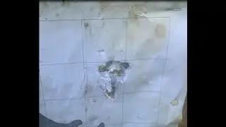 PCP Storm. Ультимативная кучность не самыми кучными пулями. Делюсь настройками