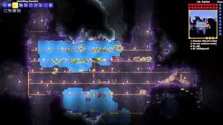 Worms get Medusad (Expert)
