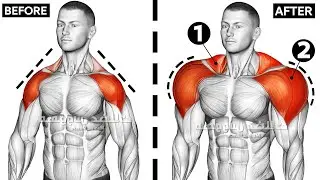 12 Exercise For Bigger SHOULDER AND TRAPS