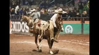 Congreso Y Campeonato Nacional Charro Hidalgo 2017