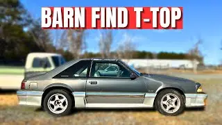Bought HER FIRST FOX BODY, Rare Aero T-TOP // Halo Gets A Heater Core