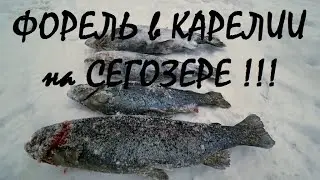 Рыбалка в КАРЕЛИИ на СЕГОЗЕРЕ зимой!!! ЗИМНЯЯ ФОРЕЛЬ!!!