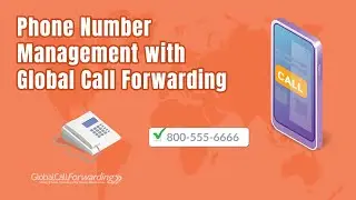 Phone Number Management with Global Call Forwarding