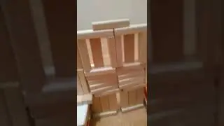8 ноября 2023 г.