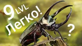 #theants