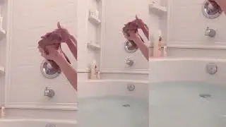 How to Bathe a Prairie Dog