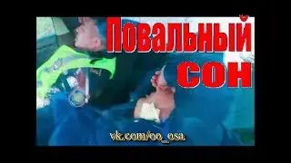 СЛАДКИЙ СОН ПОЛИЦЕЙСКИХ. ГАИ ДПС. ОСА УСТЬ-КАМЕНОГОРСК